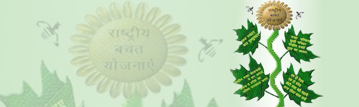 राष्ट्रीय-स्तर-की-योजना